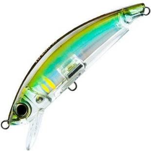 3d inshore minnow hhay.jpg